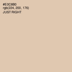 #E0C8B0 - Just Right Color Image