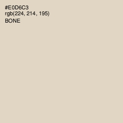 #E0D6C3 - Bone Color Image