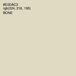 #E0DAC3 - Bone Color Image