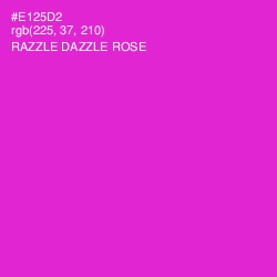 #E125D2 - Razzle Dazzle Rose Color Image