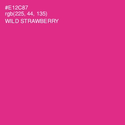 #E12C87 - Wild Strawberry Color Image