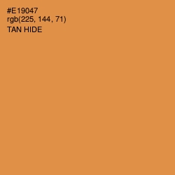 #E19047 - Tan Hide Color Image