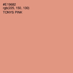#E19682 - Tonys Pink Color Image