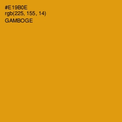 #E19B0E - Gamboge Color Image
