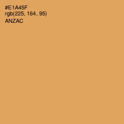 #E1A45F - Anzac Color Image