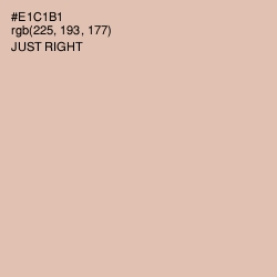 #E1C1B1 - Just Right Color Image