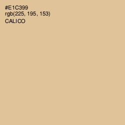 #E1C399 - Calico Color Image