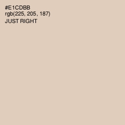 #E1CDBB - Just Right Color Image