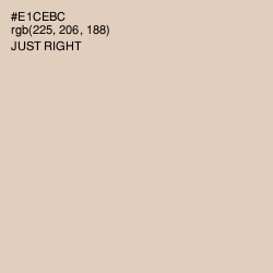#E1CEBC - Just Right Color Image