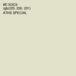 #E1E2C9 - Aths Special Color Image