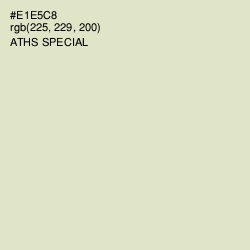 #E1E5C8 - Aths Special Color Image