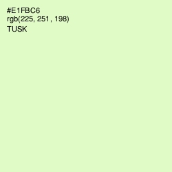 #E1FBC6 - Tusk Color Image