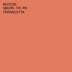 #E27C5E - Terracotta Color Image