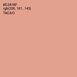 #E2A18F - Tacao Color Image
