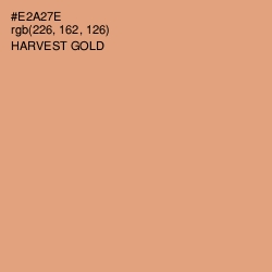 #E2A27E - Harvest Gold Color Image