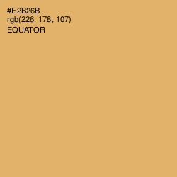 #E2B26B - Equator Color Image