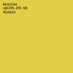 #E2CD44 - Ronchi Color Image