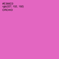 #E366C0 - Orchid Color Image