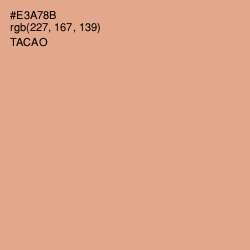 #E3A78B - Tacao Color Image
