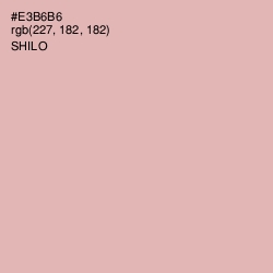 #E3B6B6 - Shilo Color Image