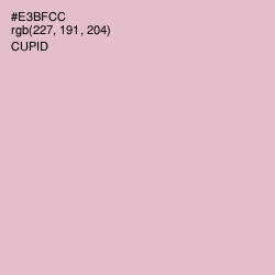 #E3BFCC - Cupid Color Image