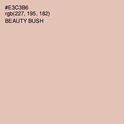 #E3C3B6 - Beauty Bush Color Image