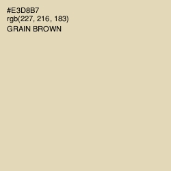 #E3D8B7 - Grain Brown Color Image