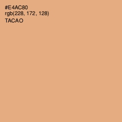 #E4AC80 - Tacao Color Image