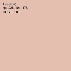 #E4BFB0 - Rose Fog Color Image