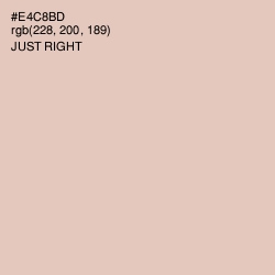 #E4C8BD - Just Right Color Image