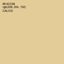#E4CC98 - Calico Color Image