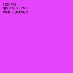 #E544FB - Pink Flamingo Color Image