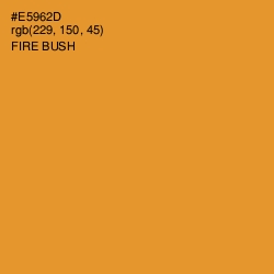 #E5962D - Fire Bush Color Image