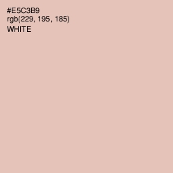 #E5C3B9 - Beauty Bush Color Image