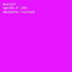 #E615FF - Magenta / Fuchsia Color Image