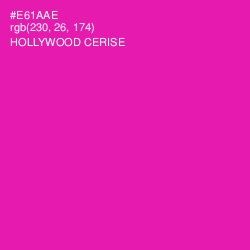#E61AAE - Hollywood Cerise Color Image
