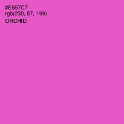 #E657C7 - Orchid Color Image