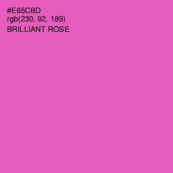 #E65CBD - Brilliant Rose Color Image