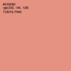 #E69280 - Tonys Pink Color Image