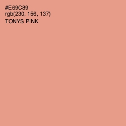 #E69C89 - Tonys Pink Color Image