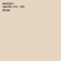 #E6D5C1 - Bone Color Image