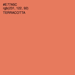 #E77A5C - Terracotta Color Image