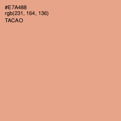 #E7A488 - Tacao Color Image