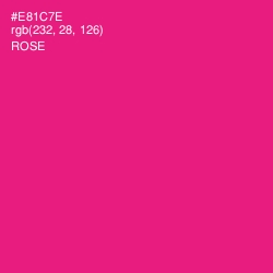 #E81C7E - Rose Color Image