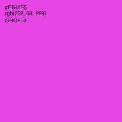 #E844E5 - Orchid Color Image