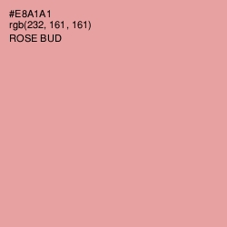 #E8A1A1 - Rose Bud Color Image
