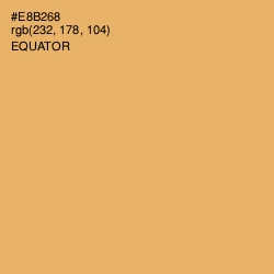 #E8B268 - Equator Color Image