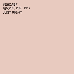 #E8CABF - Just Right Color Image