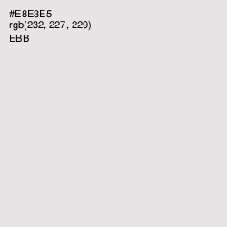 #E8E3E5 - Ebb Color Image