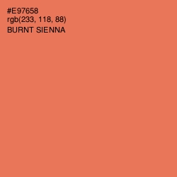 #E97658 - Burnt Sienna Color Image